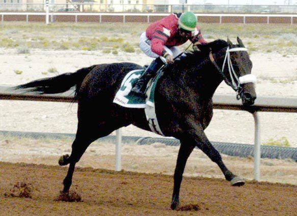 Horse Racing | Peppers Pride wins record 17th in a row | The