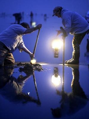 Mark and Cindy O’Toole, of Anacortes, digging razor clams on a coastal beach.