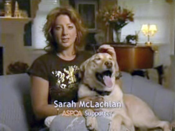 Spca deals dog commercial