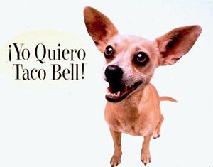 what happened to the taco bell chihuahua?