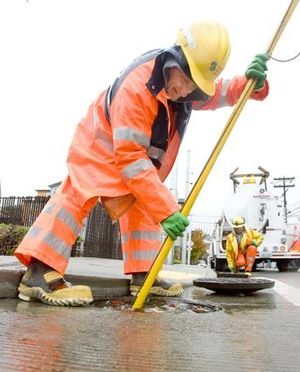 Keeping Storm Drains Clear of Leaves