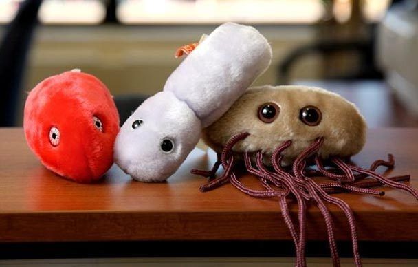 Cuddly microbes store