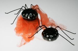 Ask an Expert - Top Three Spooky Spiders in Utah May Not Be So Scary