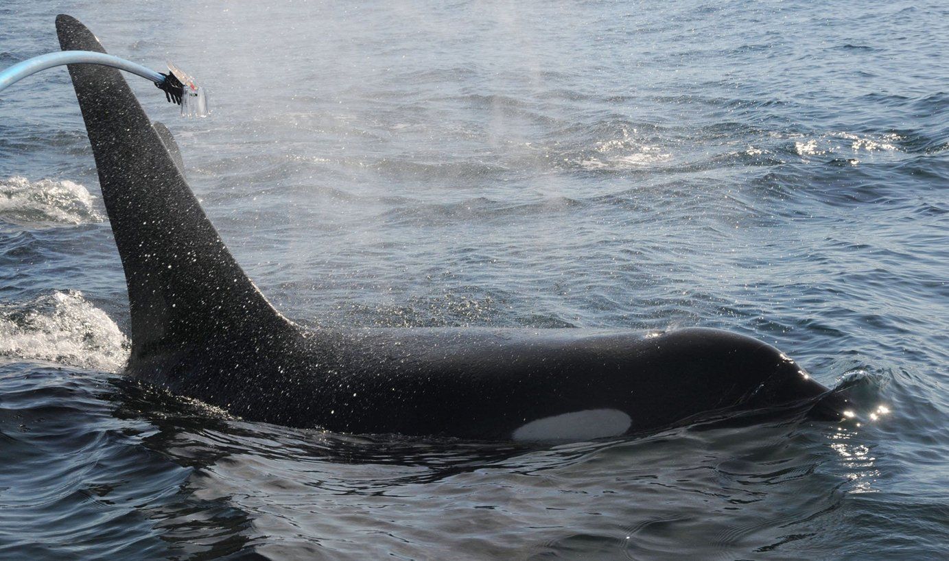 2018025449.jpg?d=1020x0