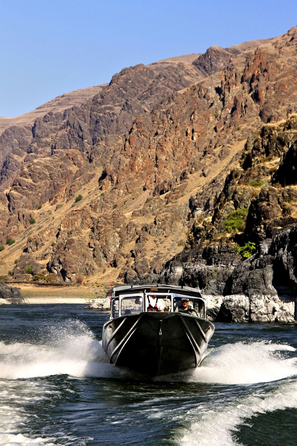 Hells Canyon sturgeon are so big that anglers don't need to lie