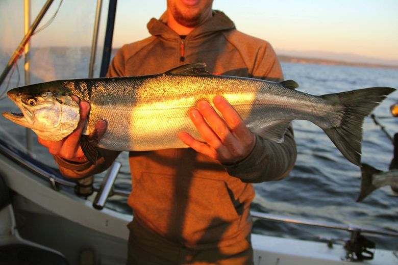 Seattle King Salmon Fishing, Washington King Salmon Fishing, All