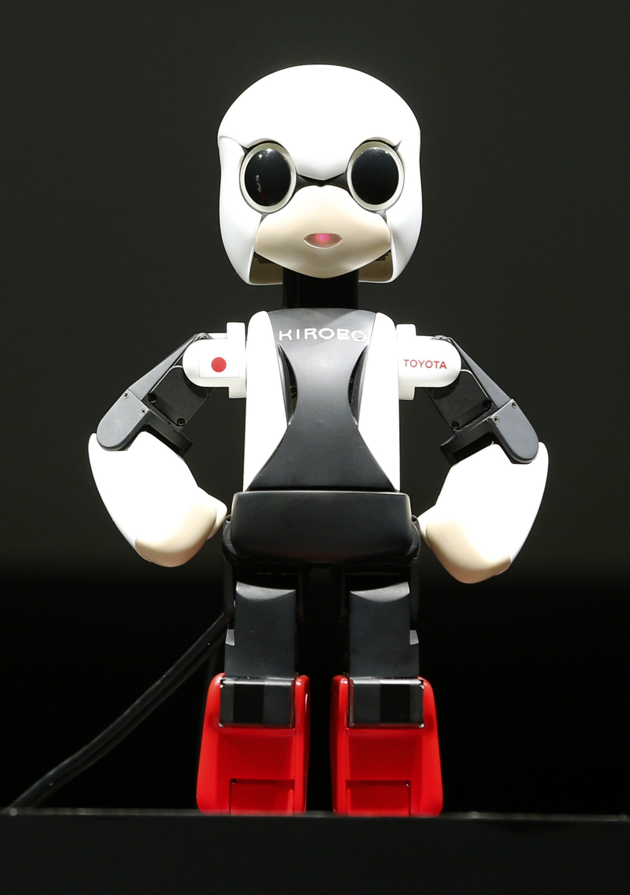 Kirobo orders