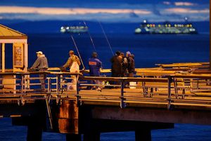 Anglers are enjoying jigging for squid off the various public piers in the Puget Sound, such as Pier 86.