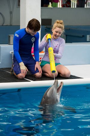 Dolphin Tale 2': Sequel swims in familiar waters