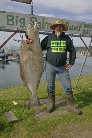 More WA Halibut Days, Increased Limit Coming In Late Summer 