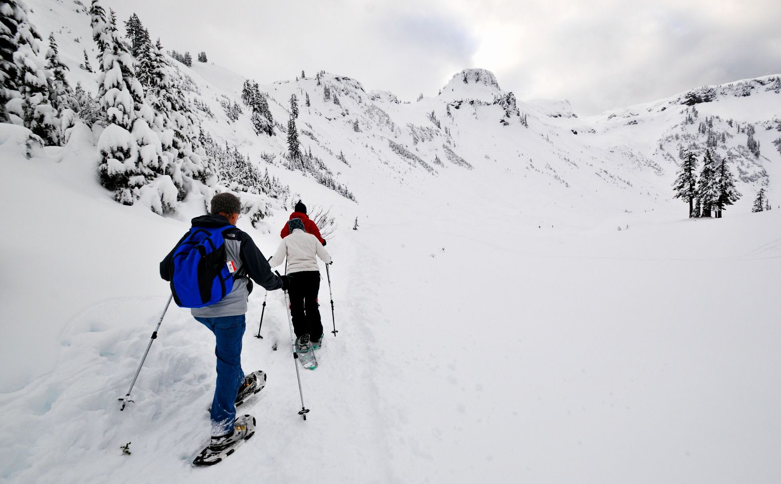 snowshoeing mt baker