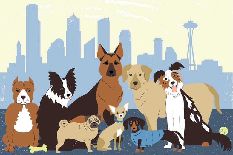 Mapping the dogs of Seattle | The Seattle Times
