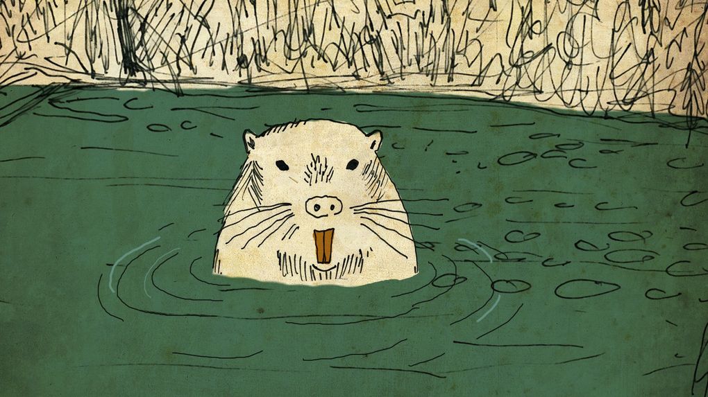 Drew Christie’s “Hi! I’m a Nutria” packs a small history lesson. (Erika Schultz / The Seattle Times)