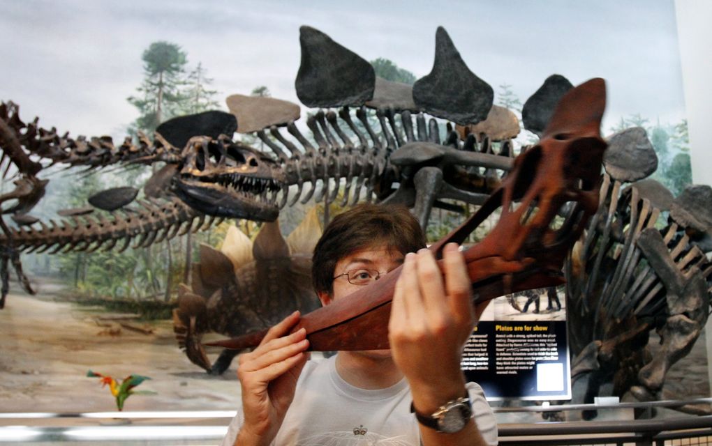 Dino Day 2014. Photo by Alan Berner/The Seattle Times.