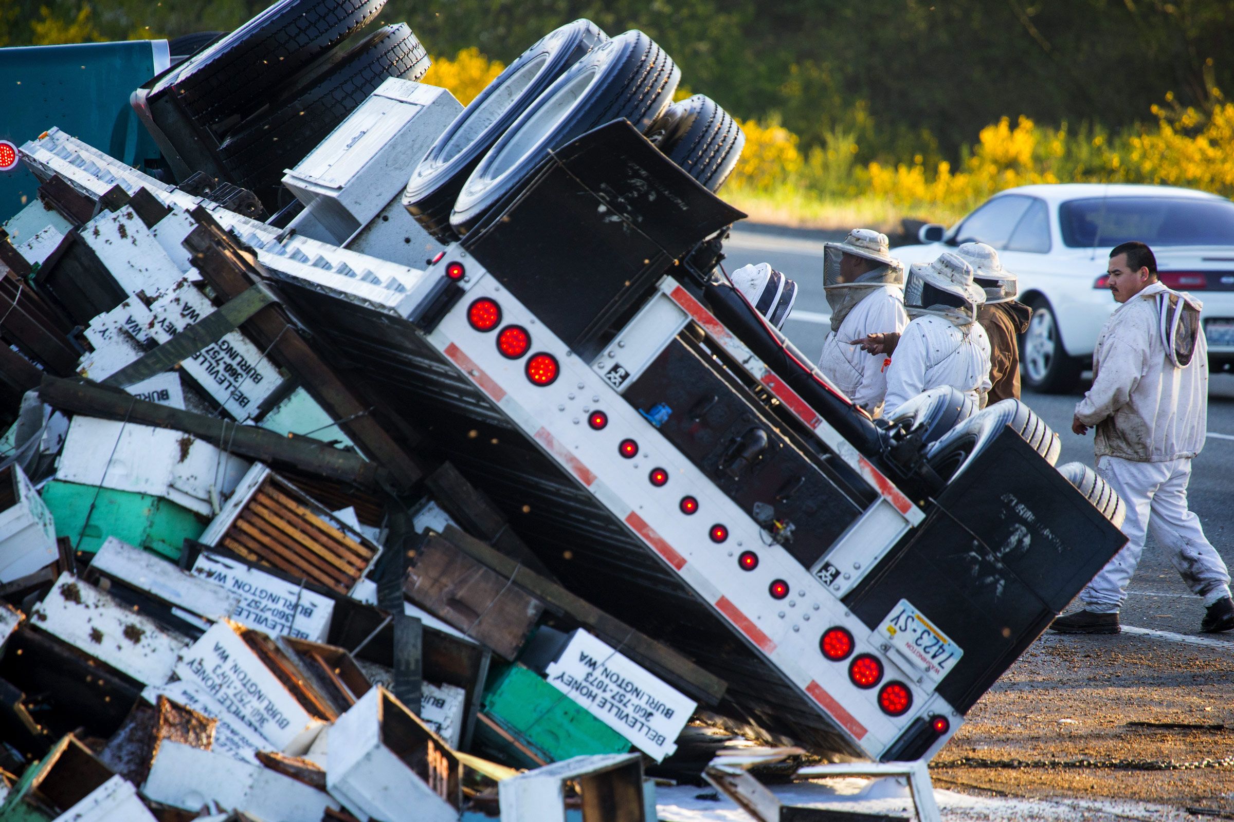 14 million spilled bees on I 5 Everybody s been stung The