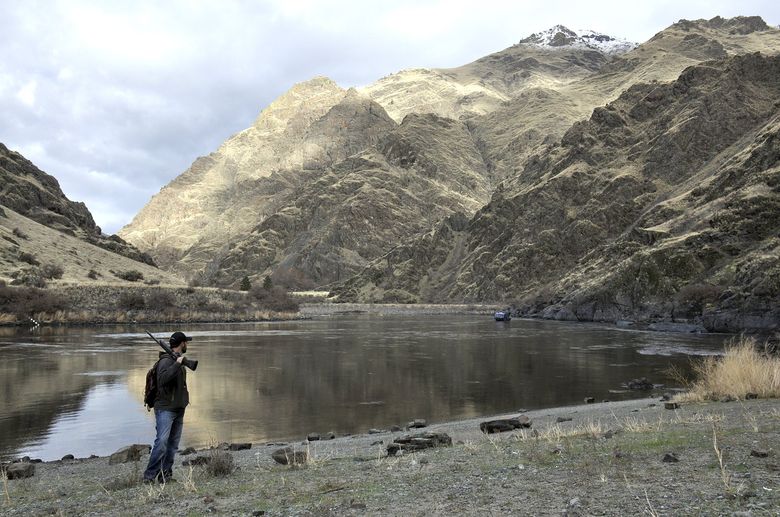 are dogs allowed in hells canyon