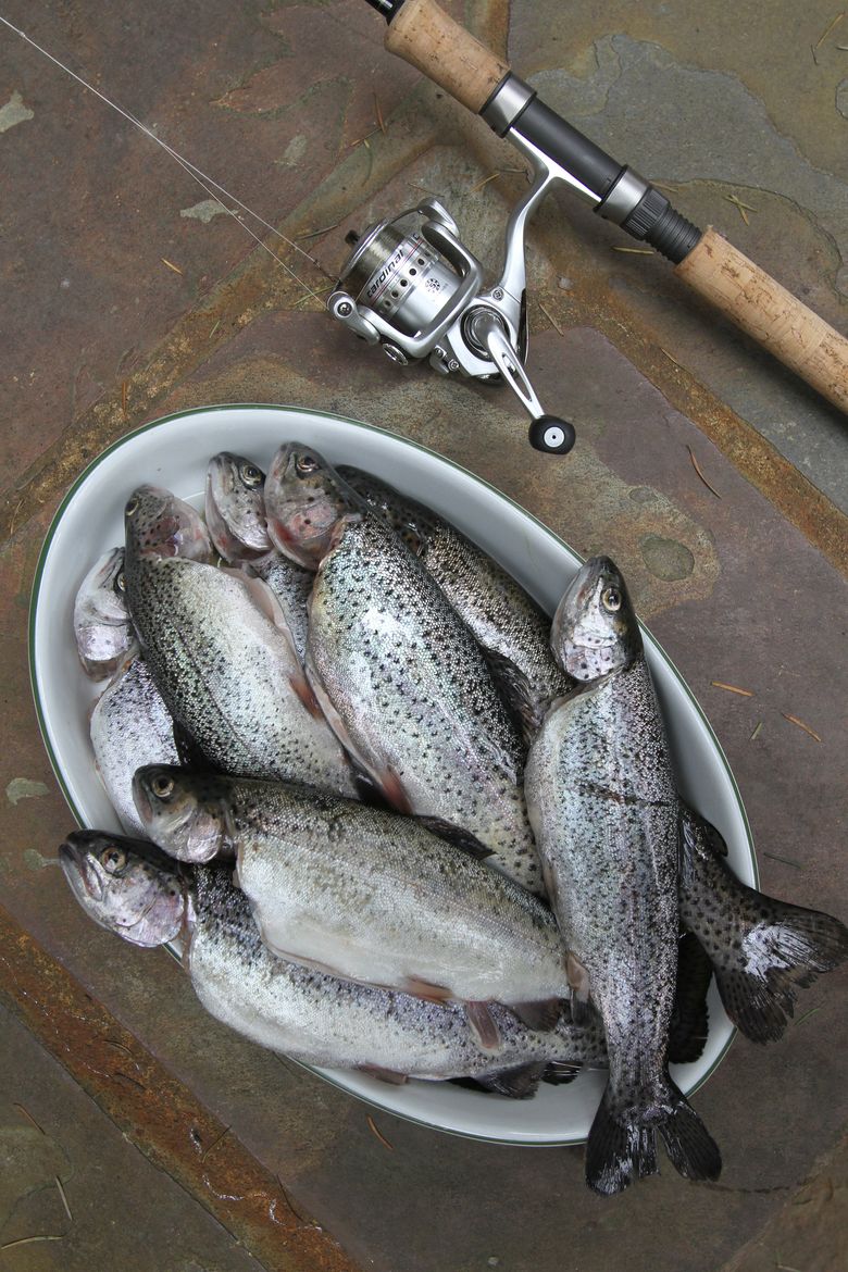 Mixed bag of weather this past weekend across the state doesn't dampen  success for trout season opener