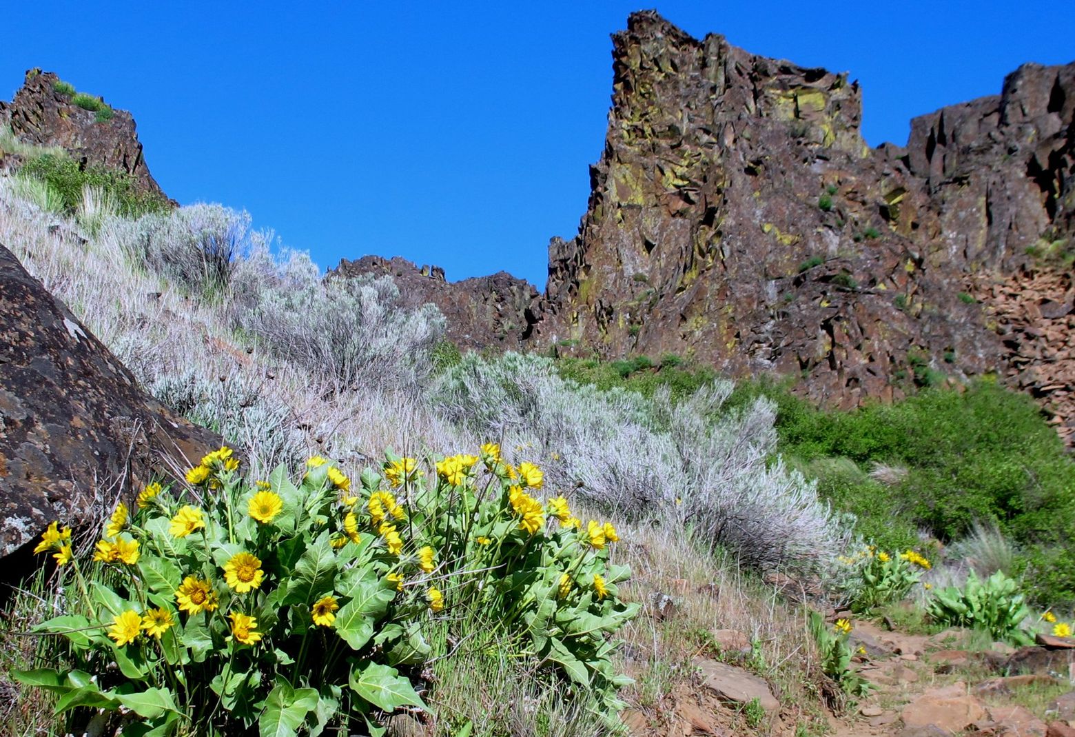 Columbia Hills Historical State Park