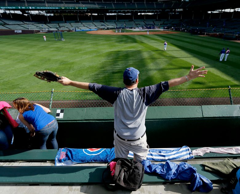 Wrigley Field Rules, Wrigley Field Bleachers