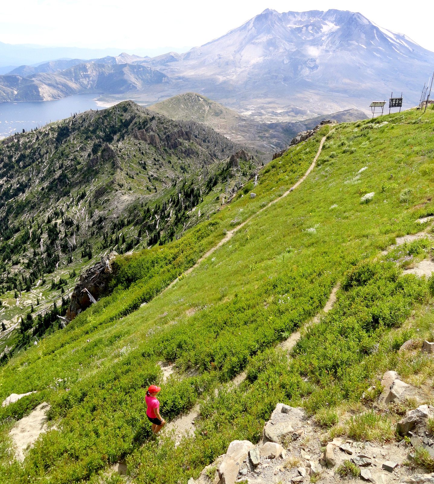 Mt st clearance helens day hikes