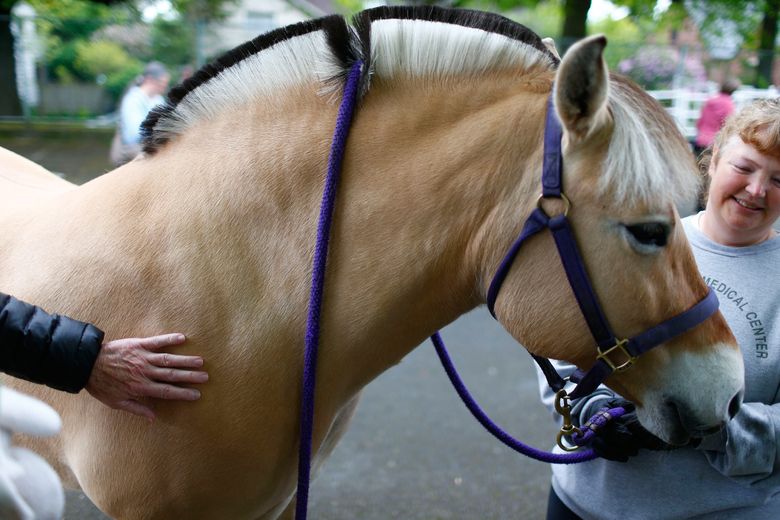 Norwegian pride on parade in Ballard, Poulsbo | The Seattle Times