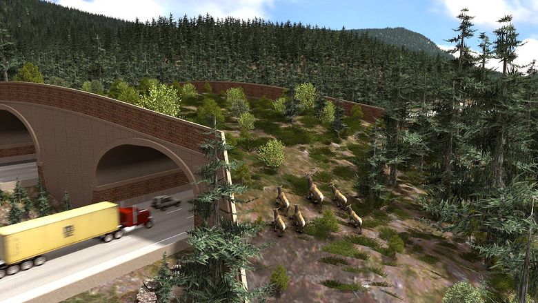 Special I-90 overpass to give animals safe passage | The Seattle Times