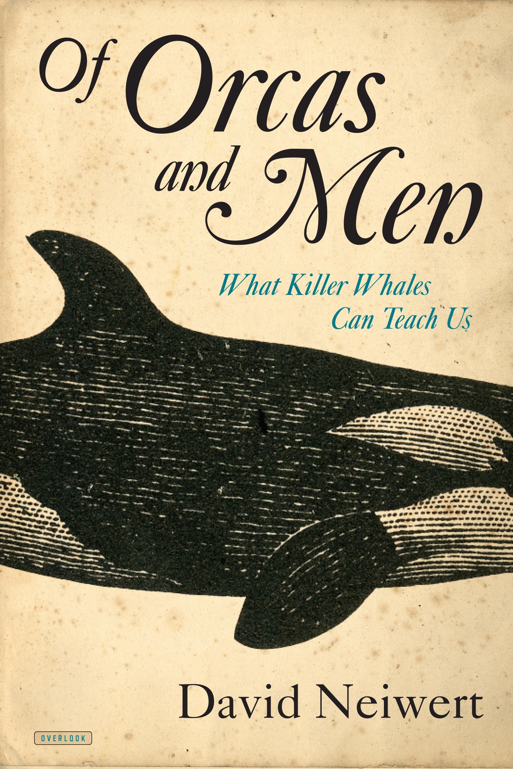 Of Orcas and Men': What we can learn from the killer whale | The