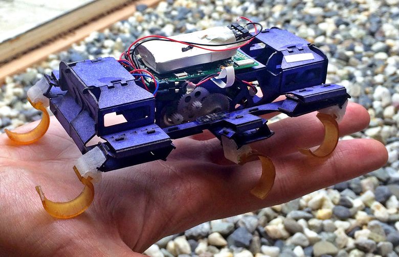 Engineers look to insects for robotic inspiration | The Seattle Times