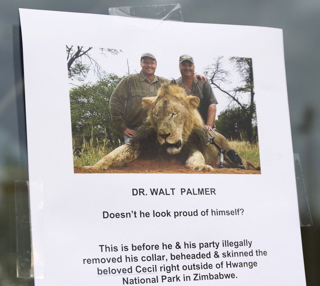 A sign is posted on the door at River Bluff Dental on Tuesday in Bloomington, Minn. River Bluff Dental owner Dr. Walter Palmer has gotten criticism over the sport killing of a beloved lion in Zimbabwe named “Cecil.” (Renee Jones Schneider / Minneapolis Star Tribune)