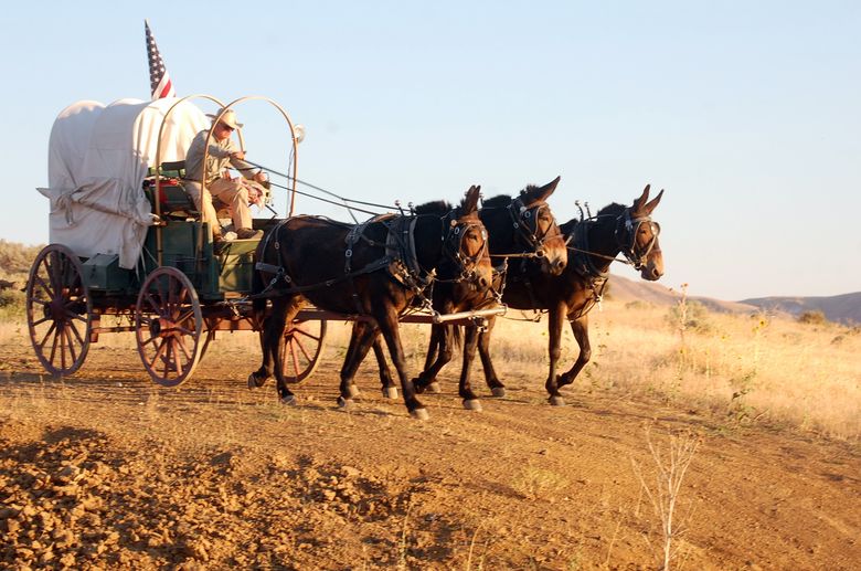 The Oregon Trail:' in the footsteps of the pioneers