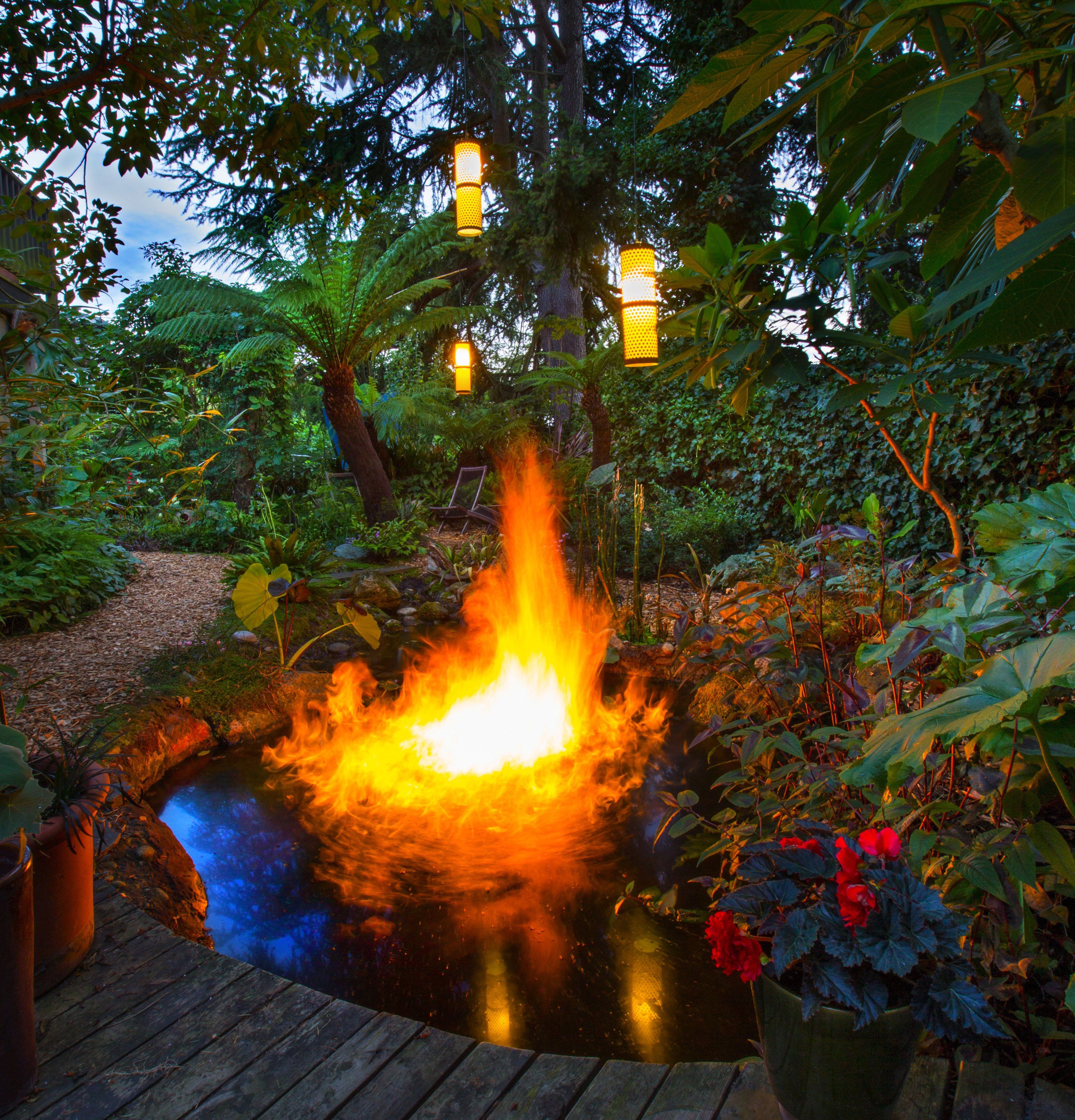 See a global garden right in Seattle: It's got carnivorous lilies