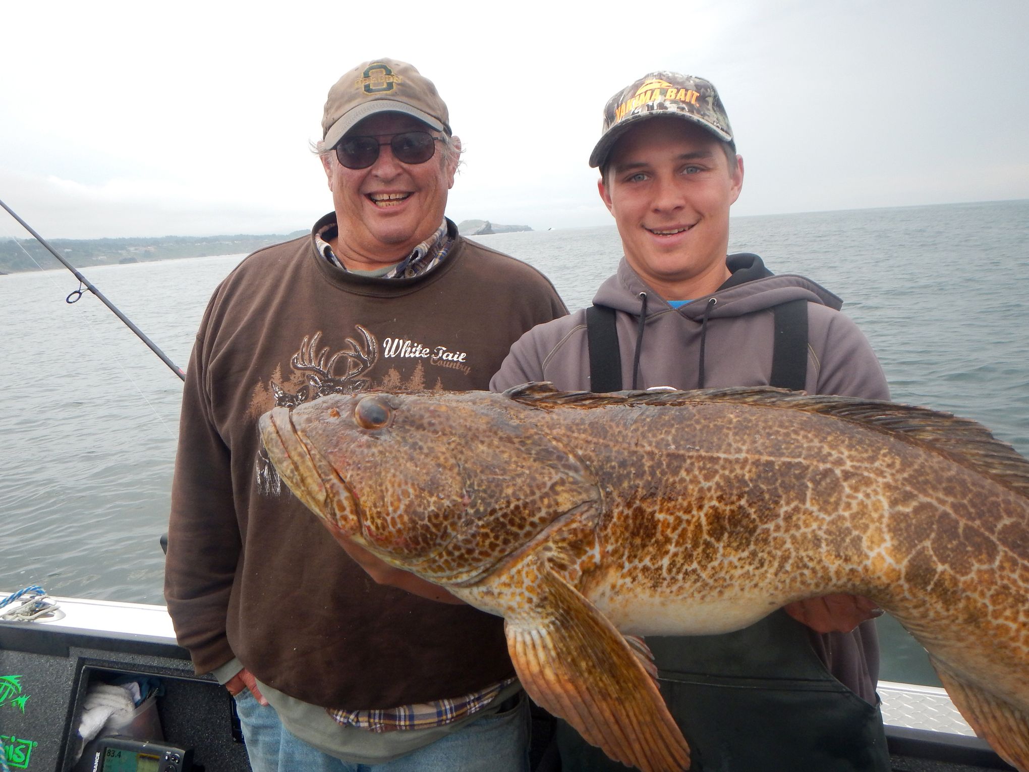 Hot spot for lingcod in southern Oregon