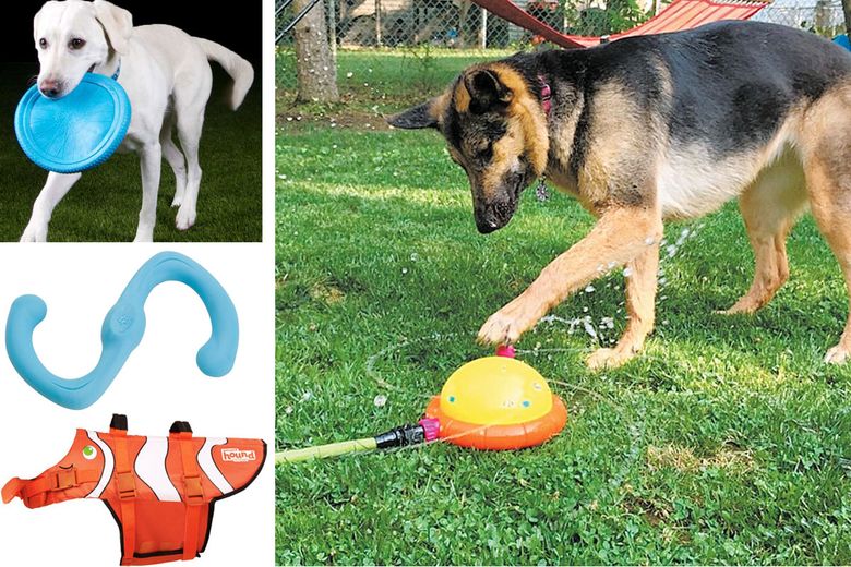 Clockwise from top left: Cycle Dog Flat Tire Flyer, $14; Outward Hound Doggy Drencher, $20; Outward Hound Fun Fish Life Jacket, $30–$45; West Paw Bumi Tug Toy, $11–$15