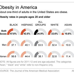 Scientists find how obesity gene works, a clue to treatment | The ...