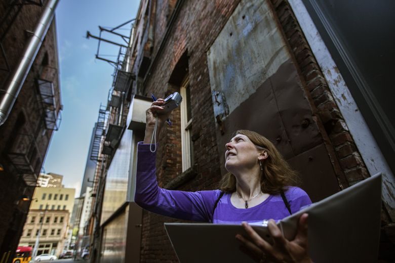 Building Seattle, brick by video game brick: City rises in