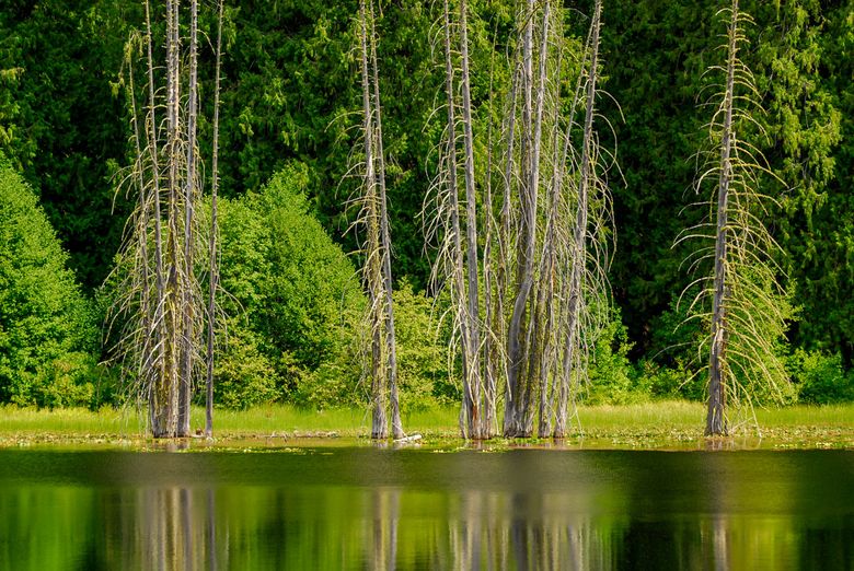 Coon Lake in the Stehekin River valley. (Courtesy of Mike Annee).