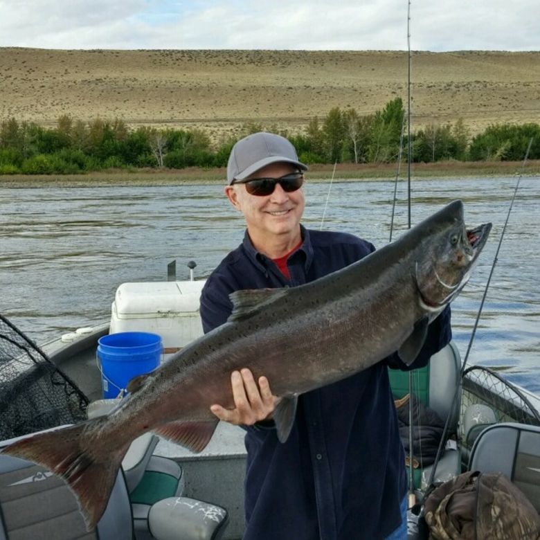 Columbia summer chinook return so far is sixth largest since 1938 | The ...