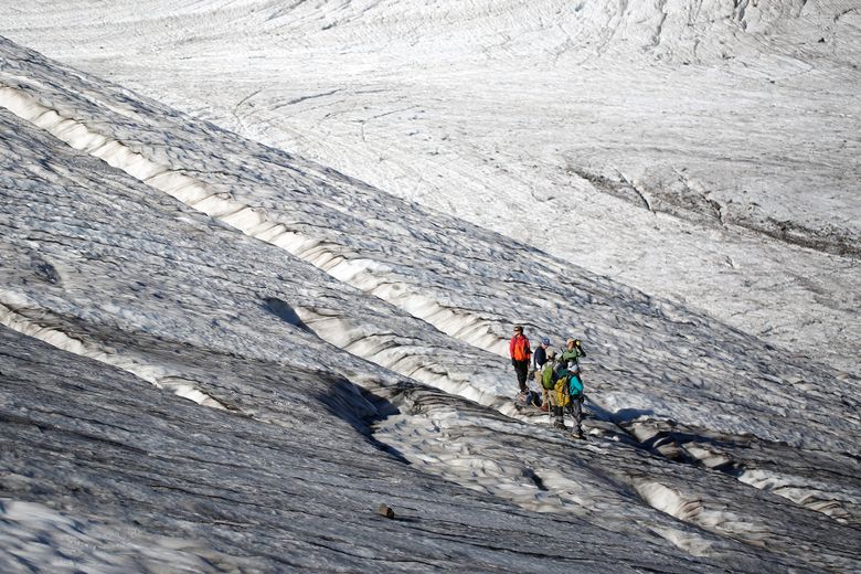 The team of researchers, led by glaciologist Mauri Pelto, travels across Sholes Glacier on Friday, Aug. 7, 2015. (Sy Bean / The Seattle Times)