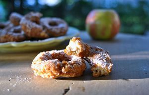 Apple Cider Donuts. (Gretchen McKay/Pittsburgh Post-Gazette/TNS)