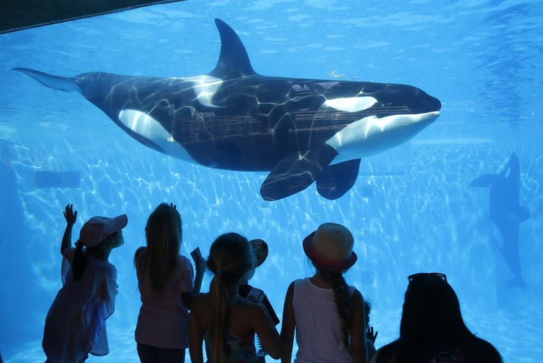 SeaWorld San Diego Theme Park - Aquarium, Zoo & Theme Park in