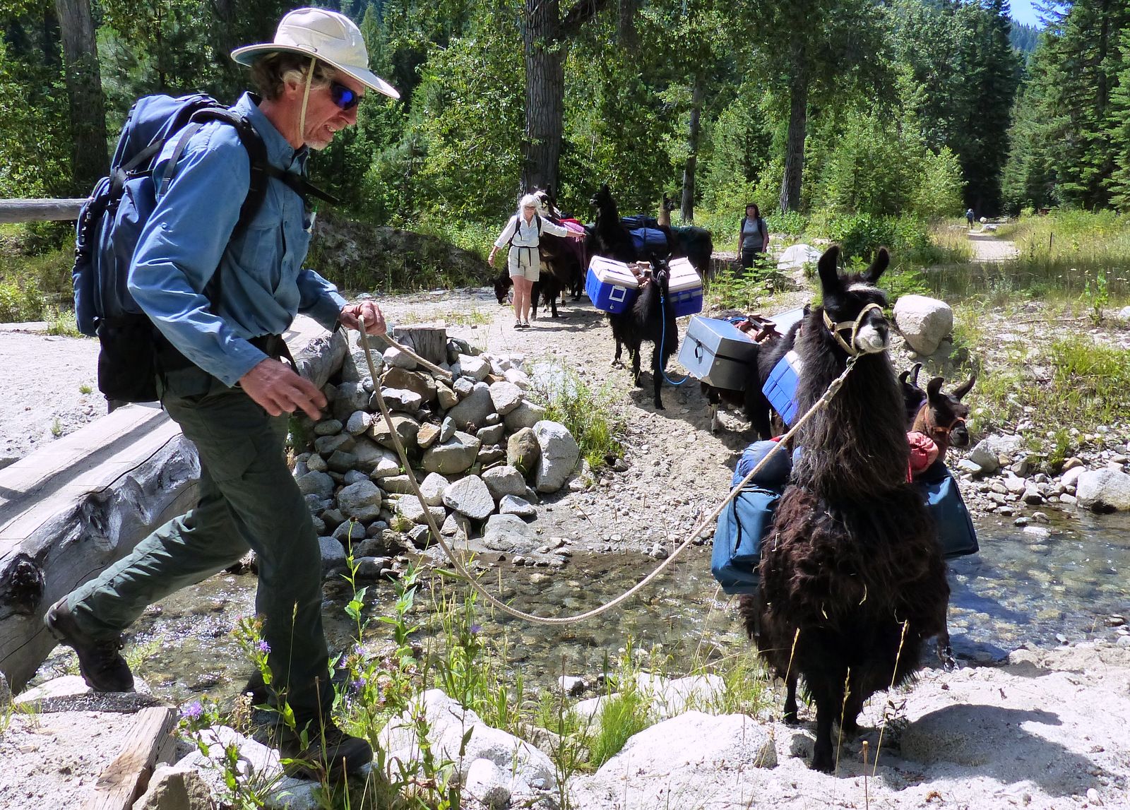 It's easy to love llama trekking in Oregon's Wallowa Mountains