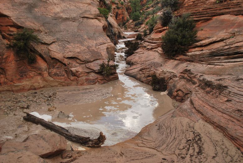 This photo provided by the National Park Service shows the exit of Keyhole Canyon, in Zion National Park, near Springdale, Utah.  Zion National Park officials are retracing what led up to the deaths of seven people in a flooded canyon on Sept. 14 before a panel assesses what can be done to keep a growing number of visitors safe when spectacular natural settings turn perilous. (National Park Service via AP)