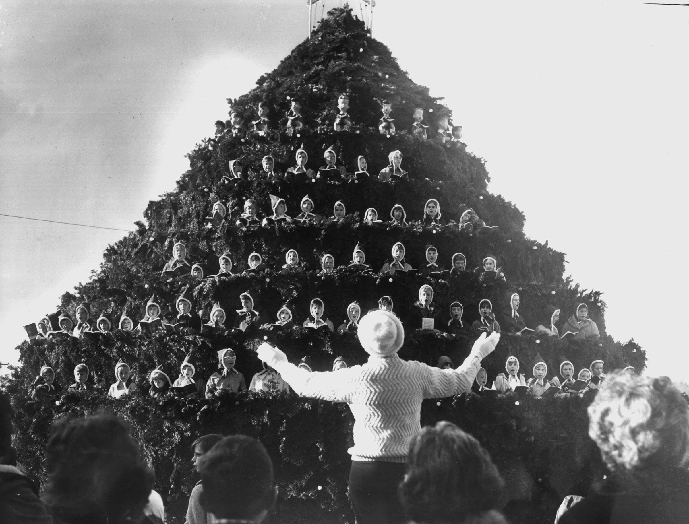 Northgate's 'singing tree' in 1963 | The Seattle Times