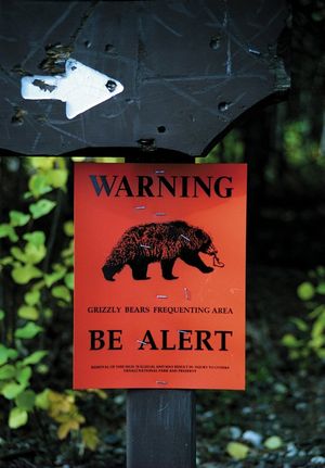 Signs like these could adorn posts in Washington’s North Cascades during the next decade, if the federal government moves forward with a plan to reintroduce grizzlies to the wilderness alpine lands along the rugged northern spine of the Cascade Range. (Danny Westneat/The Seattle Times)