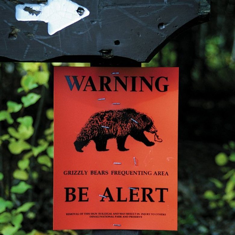 Why returning grizzlies to the North Cascades is the right thing to do ...