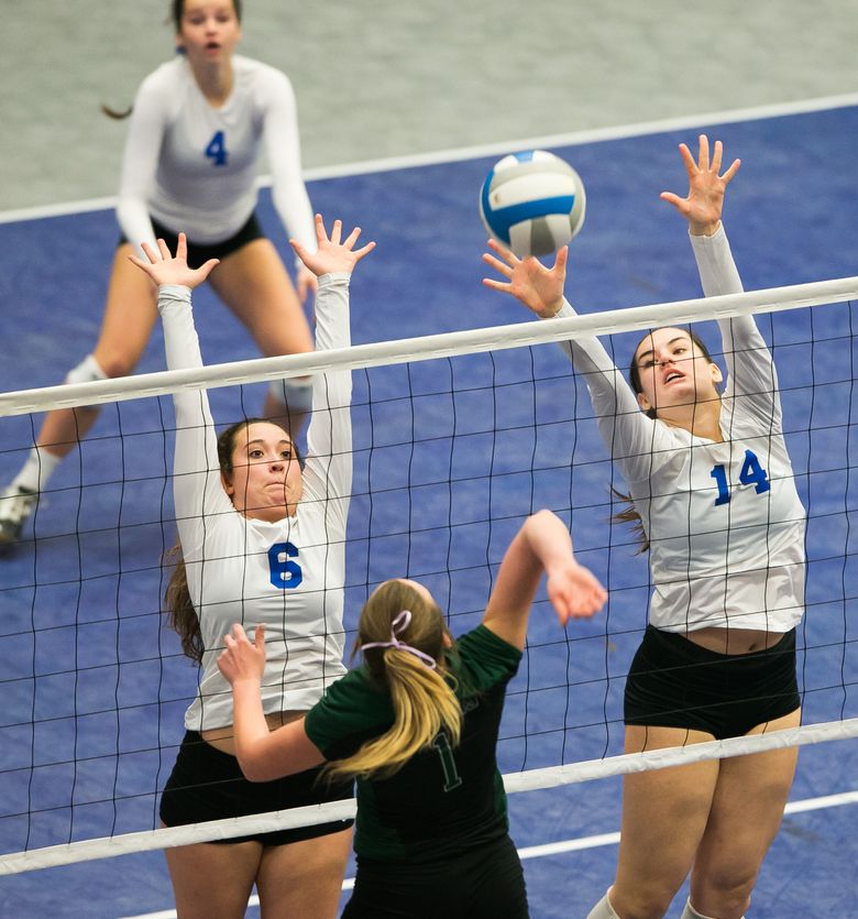 High school volleyball season preview: Carlton set on return to