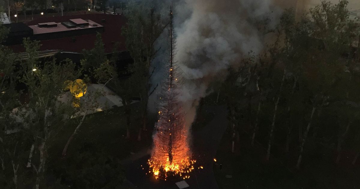 Westin South Coast Plaza hotel's Christmas tree goes up in flames