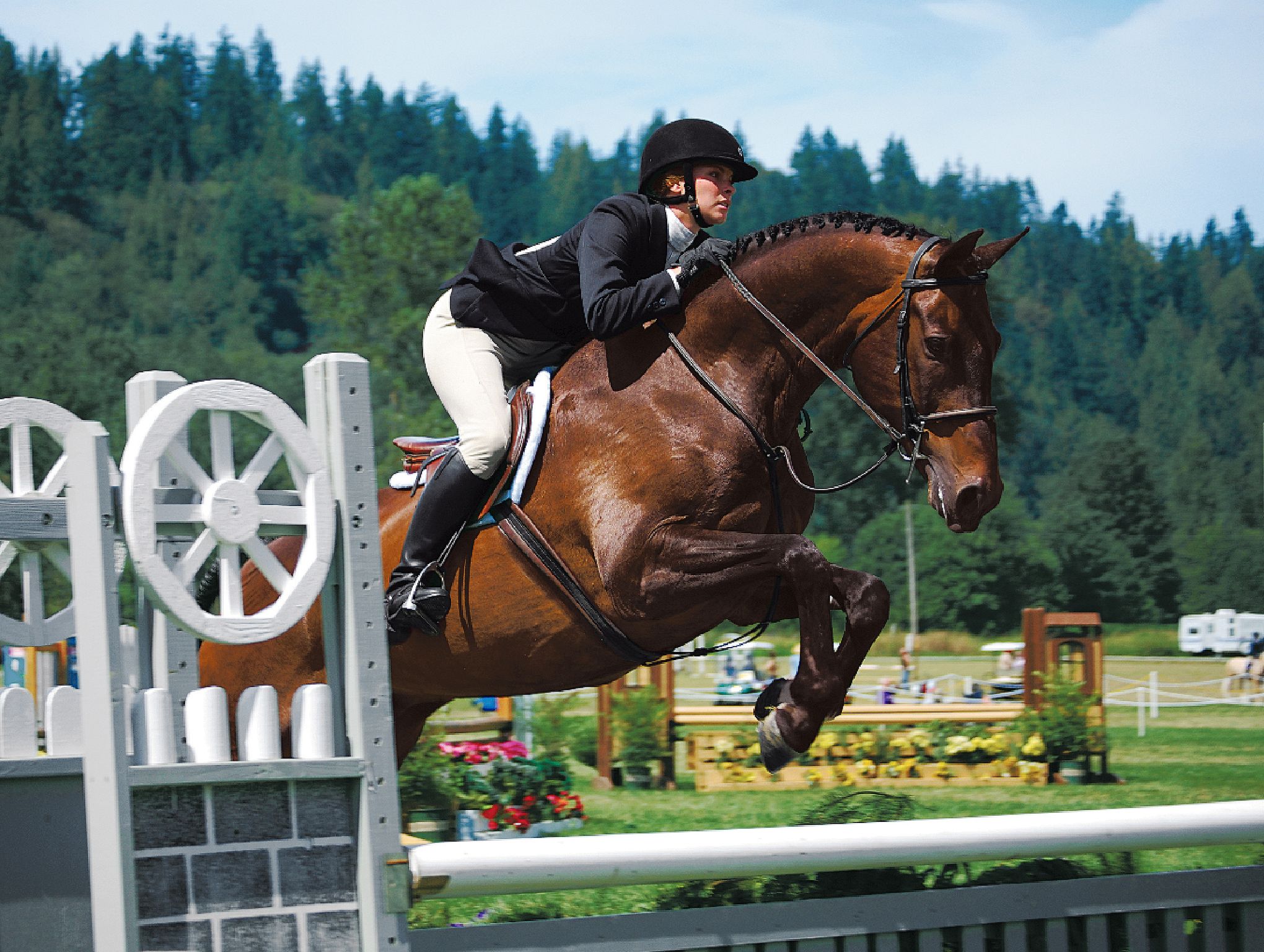 Horse World - Show Jumping – Apps no Google Play