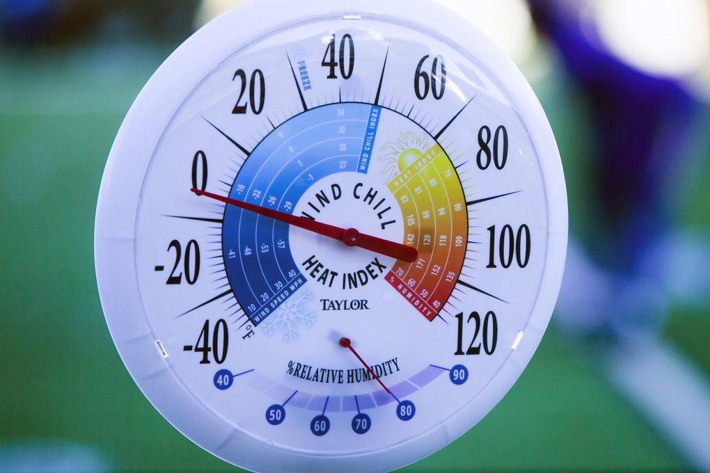 The temperature reads -2 on the field before the Seattle Seahawks take on the Minnesota Vikings. (Bettina Hansen / The Seattle Times)