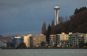 Neighborhood of the week for website feature  — Alki.  

Alki Beach — some bungalows and condos along Alki Ave SW can be seen from the western end of the beach.  The Space Needle looms over the scene.